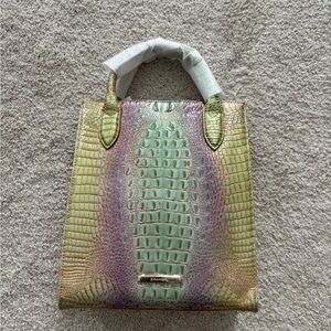 Brahmin Moira Verbena Ombré Mini Melbourne